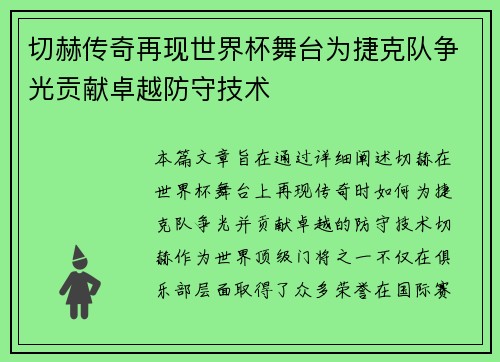 切赫传奇再现世界杯舞台为捷克队争光贡献卓越防守技术