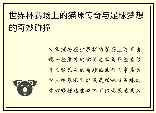 世界杯赛场上的猫咪传奇与足球梦想的奇妙碰撞