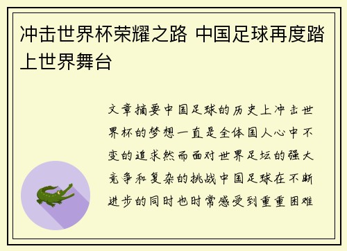 冲击世界杯荣耀之路 中国足球再度踏上世界舞台